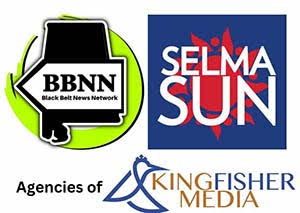 Kingfisher Media Logo